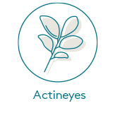 Actineyes