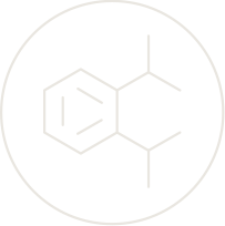 Phthalate Icon