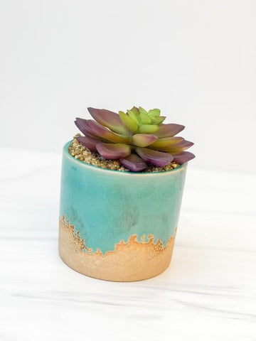 Teal Glazed Planter with Succulent