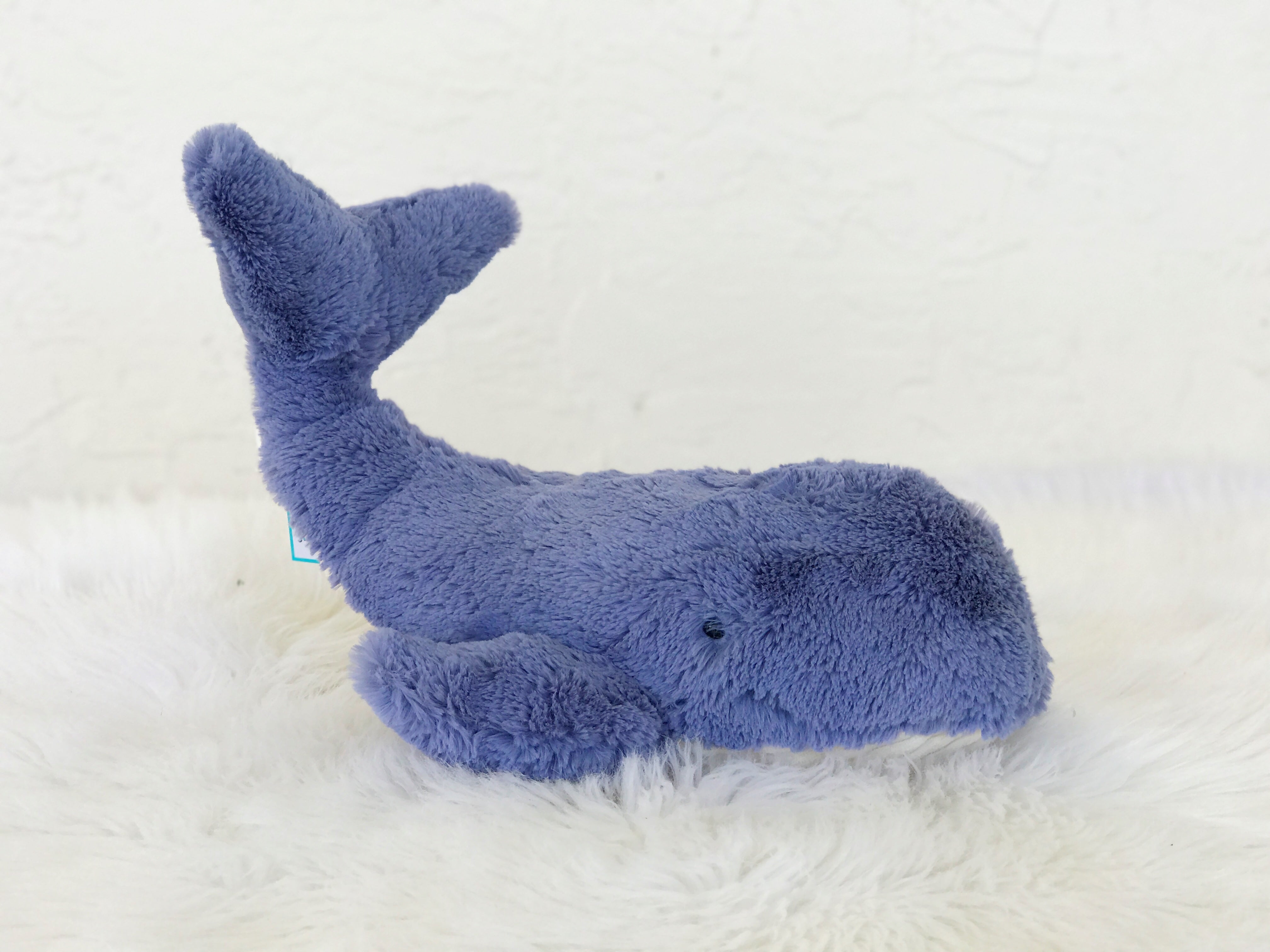 wilbur whale