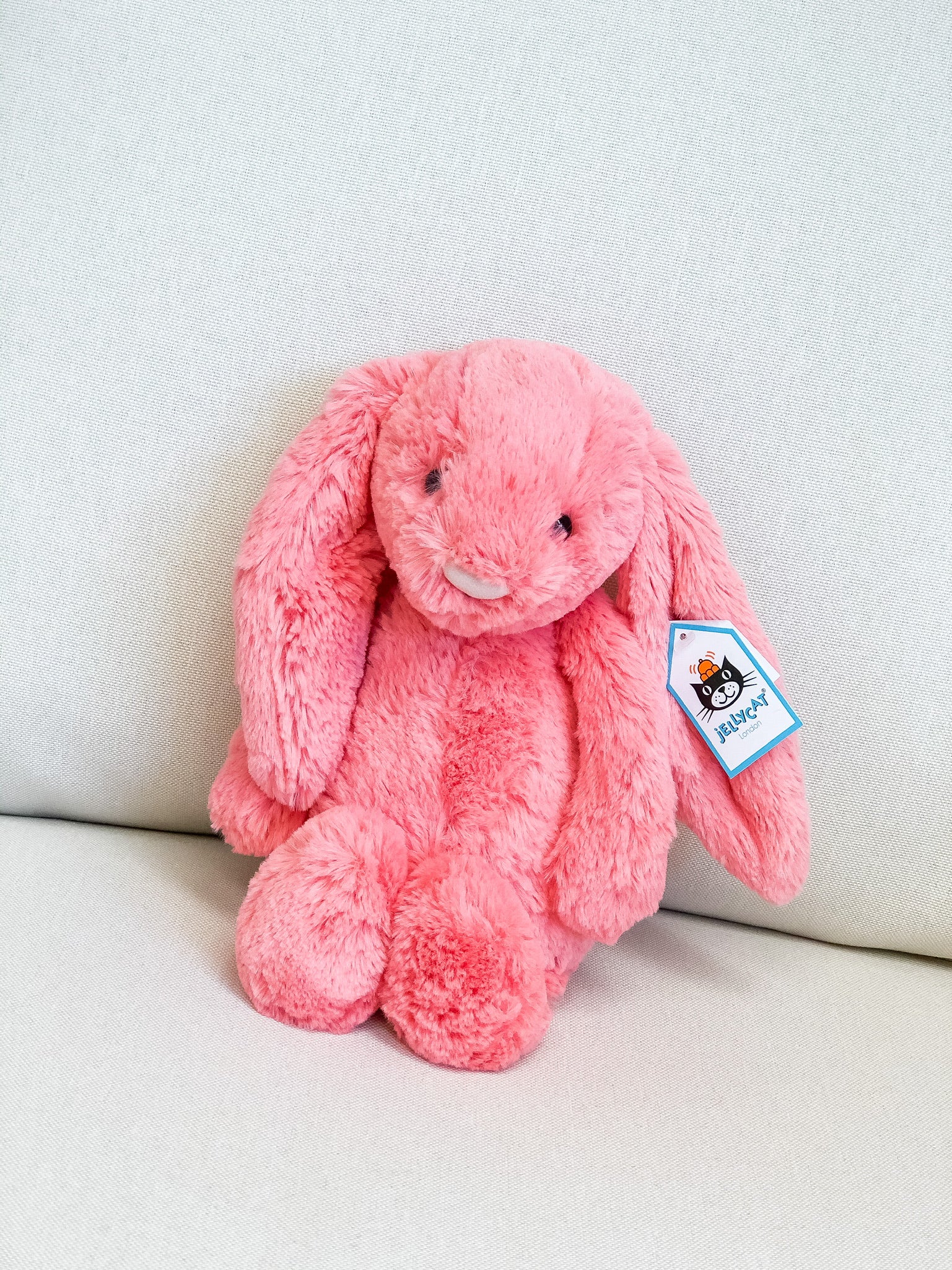 jellycat coral bunny