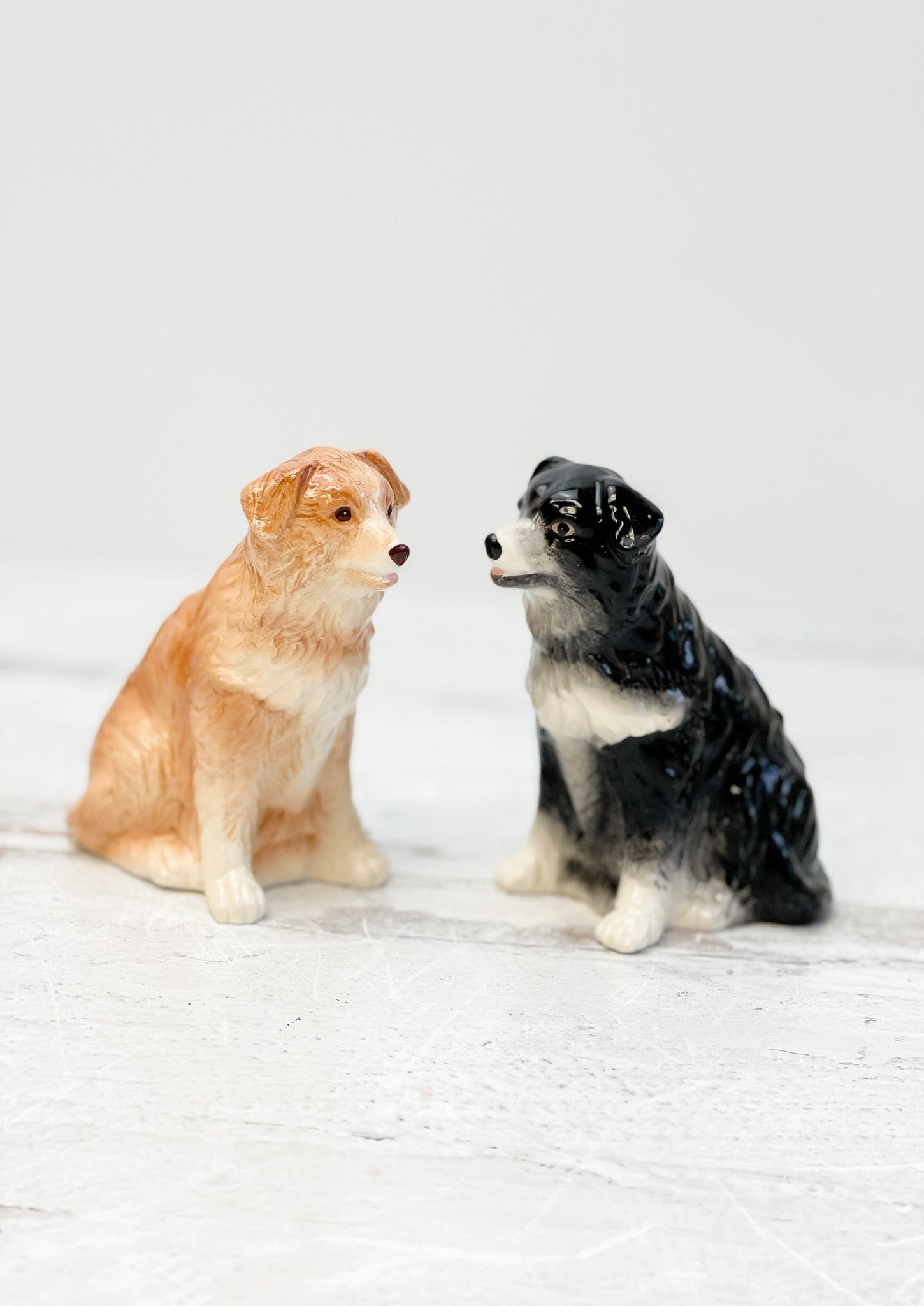 Border Collie Salt & Pepper Shakers