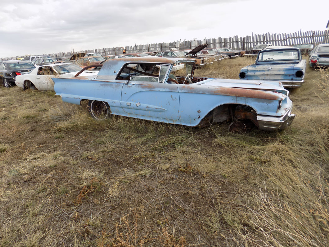 59 t bird convertible