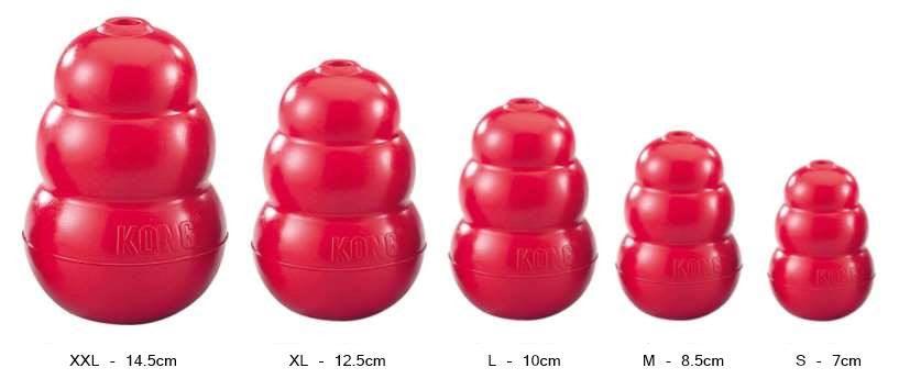 kong classic medium