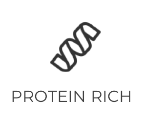 protein rich