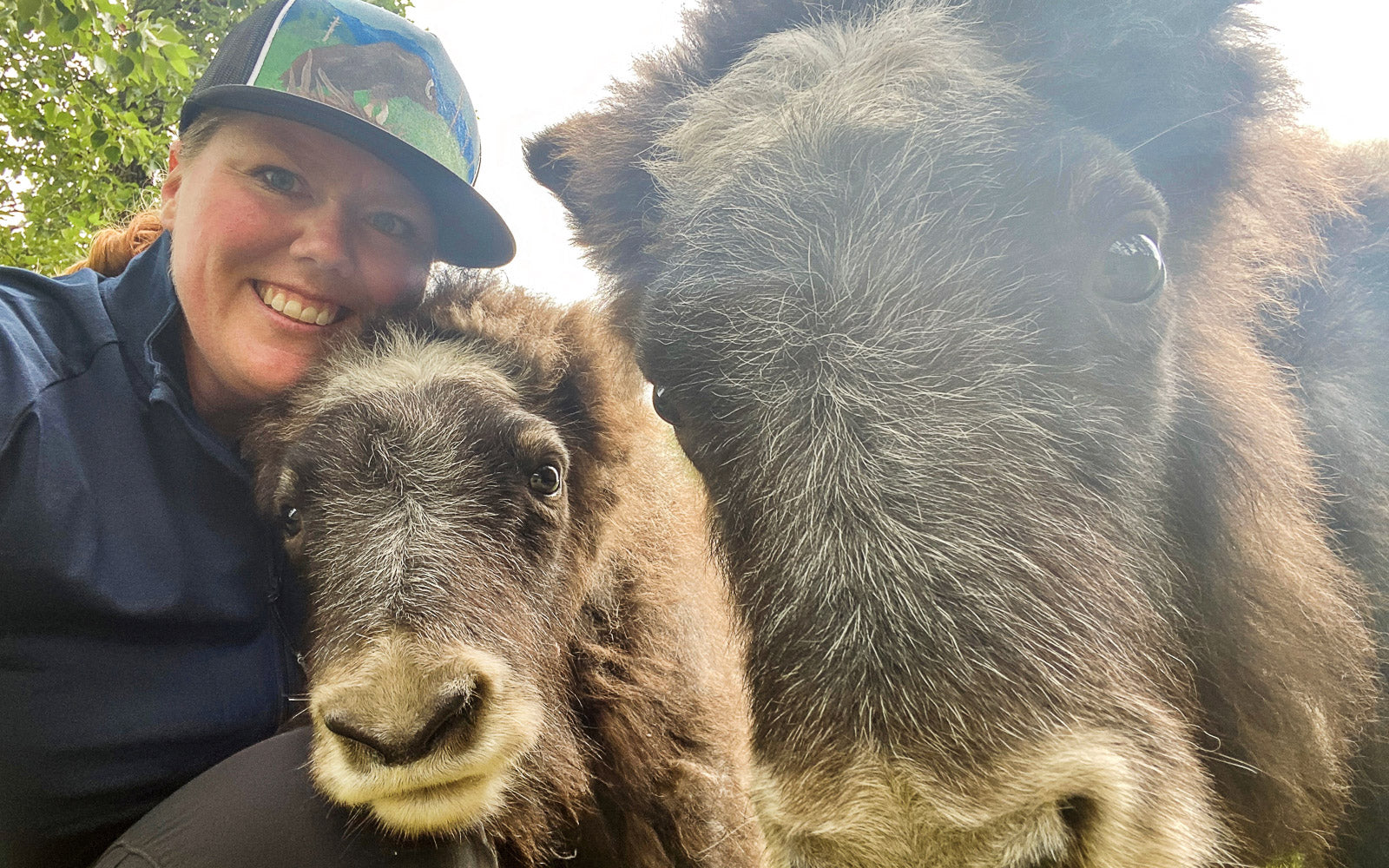 Image of Nicole Gelis with two muskox at the AWCC