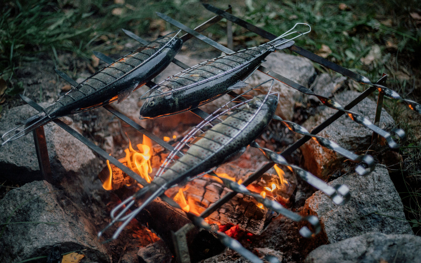 Fish Grilling on Bonfire