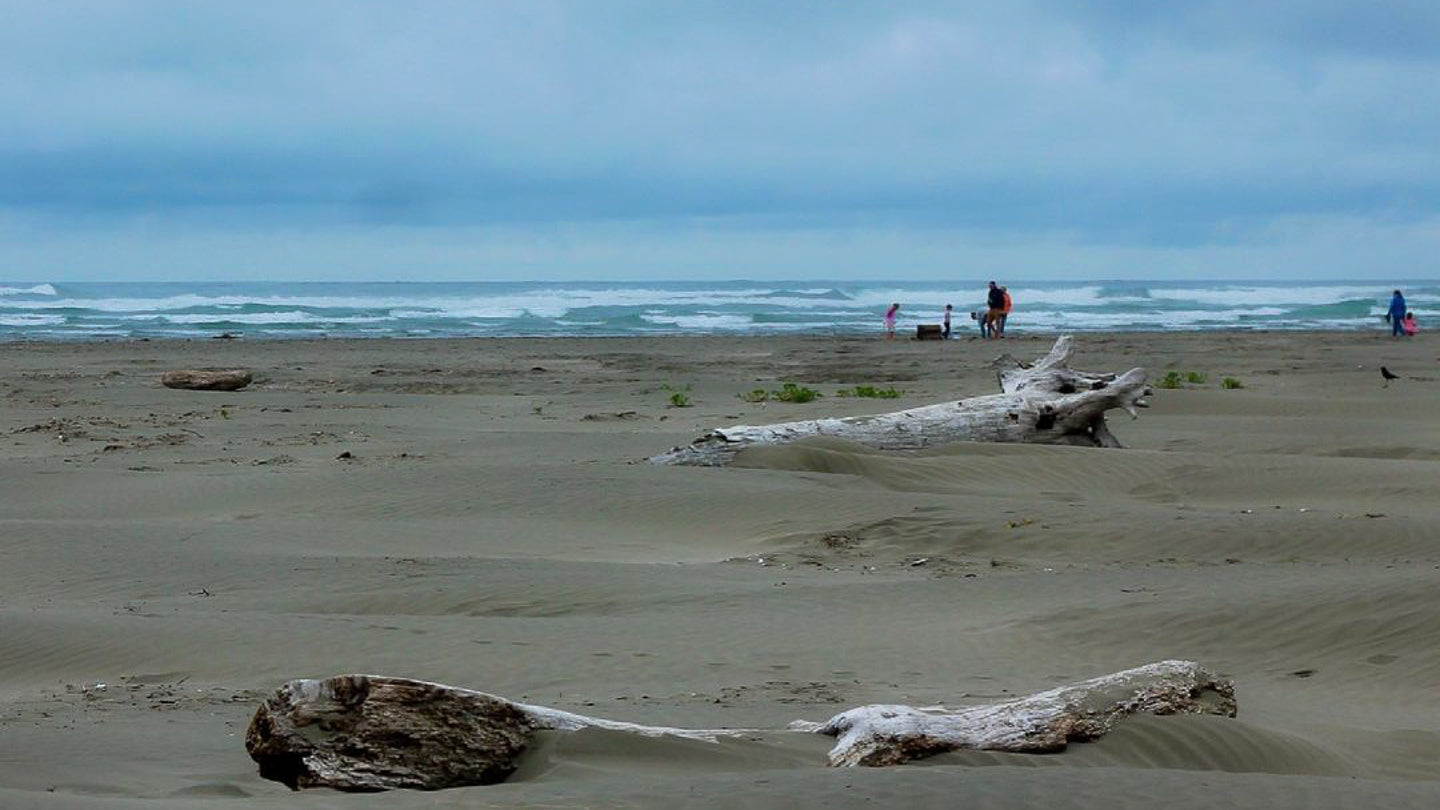 Photo of Pacific Beach State Park via The Higster