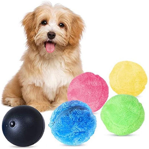 https://cdn.shopify.com/s/files/1/0251/2873/0675/files/Chaseball-Active-Rolling-Ball-Pet-Toy-Snoozify-Pet-09_480x480.jpg?v=1608012122