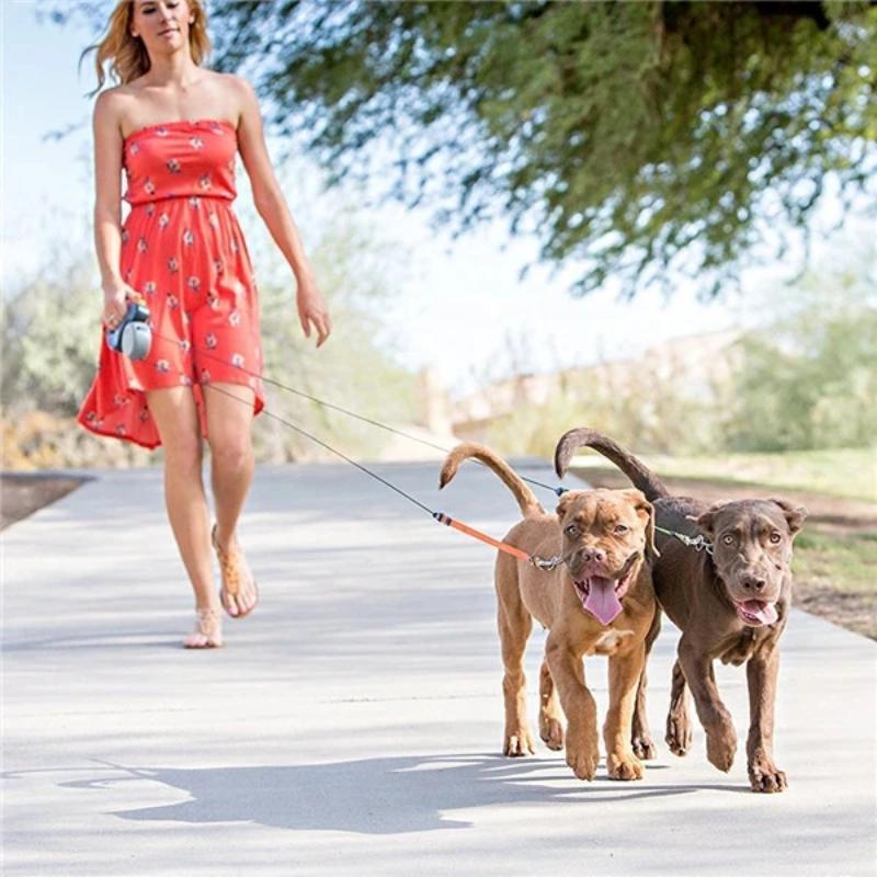 dual dog walking leash