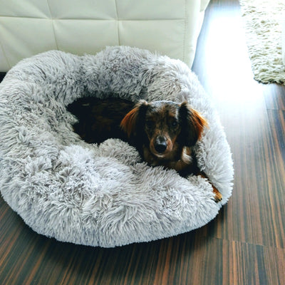 dog bed afterpay