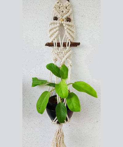 Off white handcrafted cotton wooden beads macrame owl planter