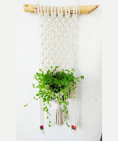 White handcrafted cotton threads and wooden beads macrame planter