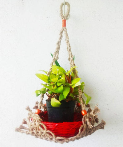 Beige handcrafted jute and wooden beads macrame planter