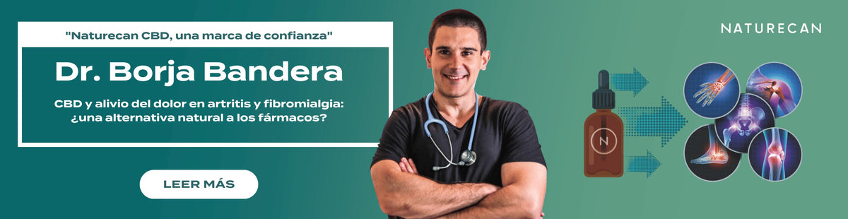 Dr. Borja Bandera - CBD para artritis