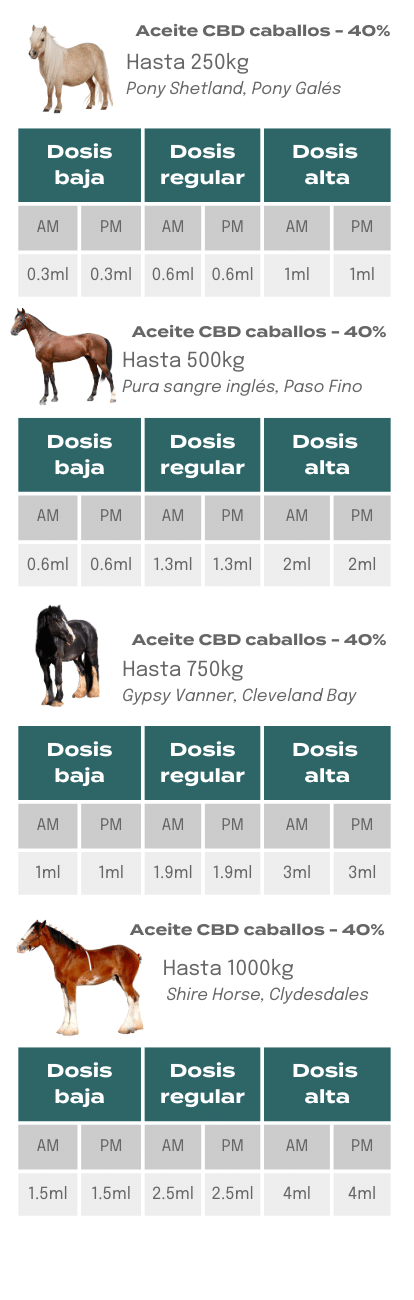 Dosis CBD para caballos