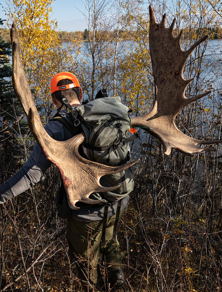 A man carries a moose head out of the bush on his back towards the river
