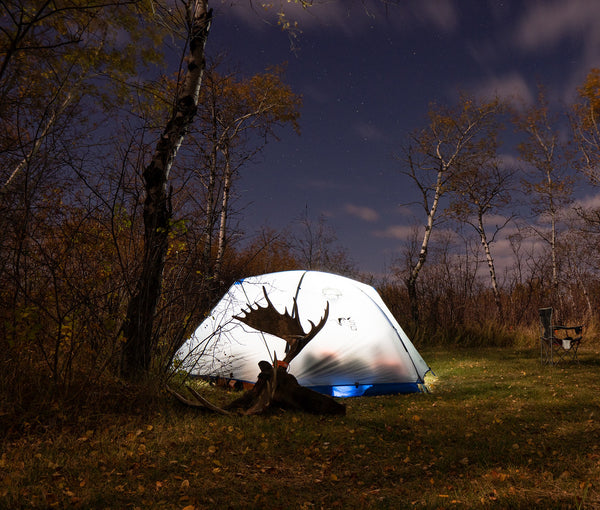 An illuminated tent backlights a moose head