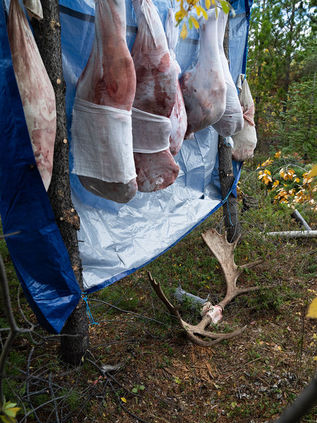 the game bags hang from a tree