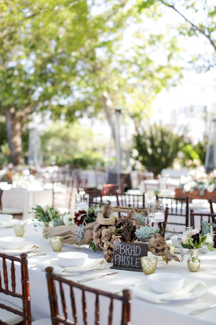 Air Plant Table Decor