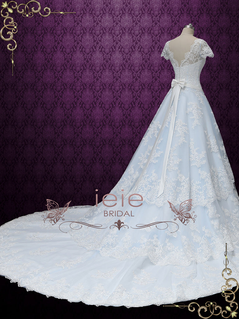 cinderella inspired ball gown