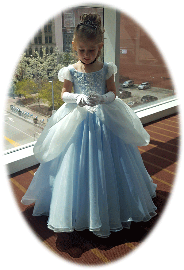 cinderella party dress