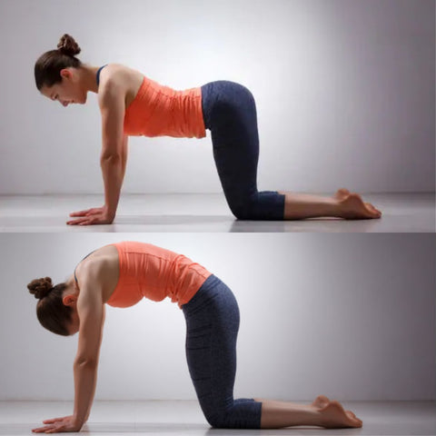 Image of a woman doing the cat and cow pose for back pain relief