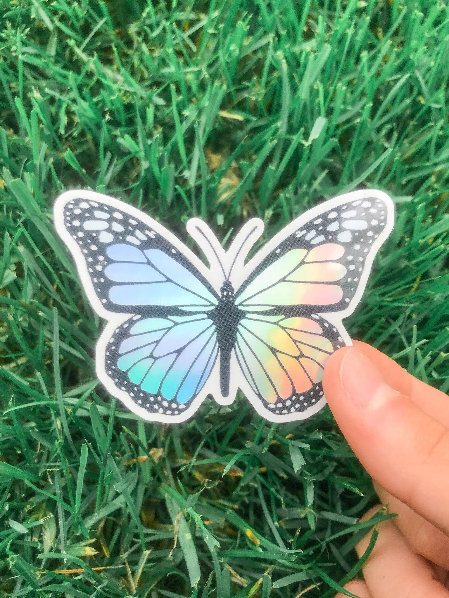 Free Free Holographic Butterfly Svg 947 SVG PNG EPS DXF File