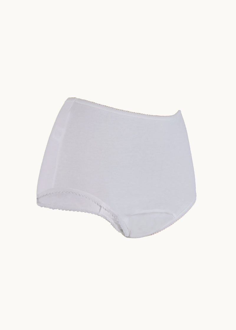 Ladies Daytime Brief with Built In Absorbent Pad Reusable (100ml) VAT Relief
