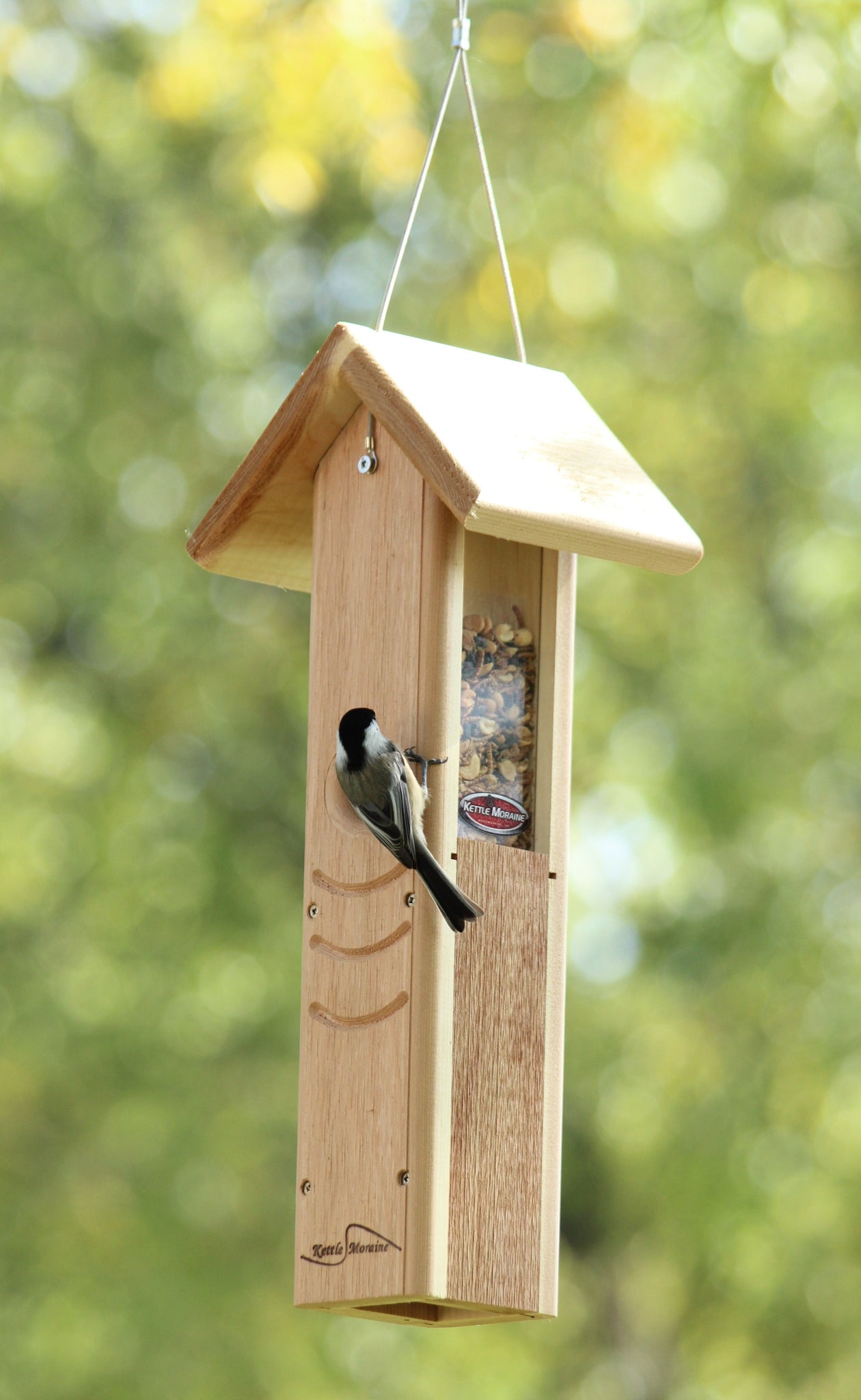 woodpecker feeders