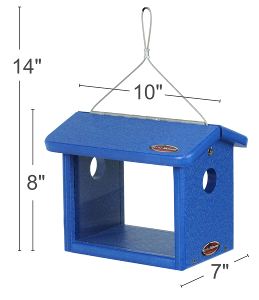 bluebird feeder hole size