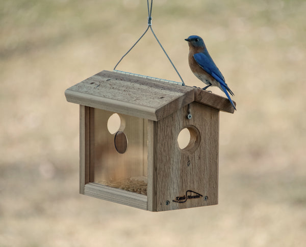 bluebird feeder home depot