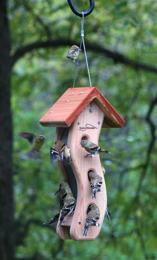 kettle moraine cedar bluebird feeder