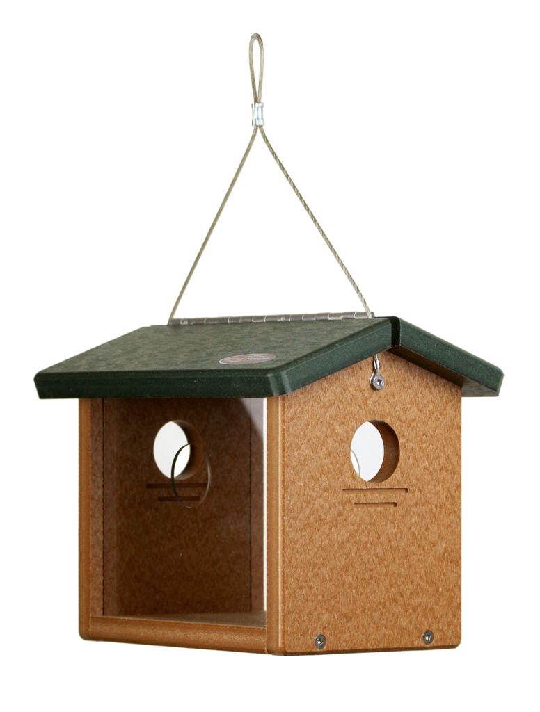 bluebird feeder design