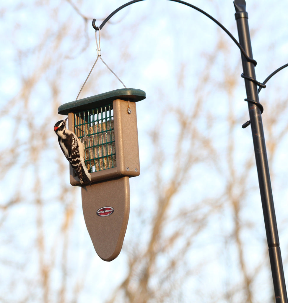 suet feeder ideas