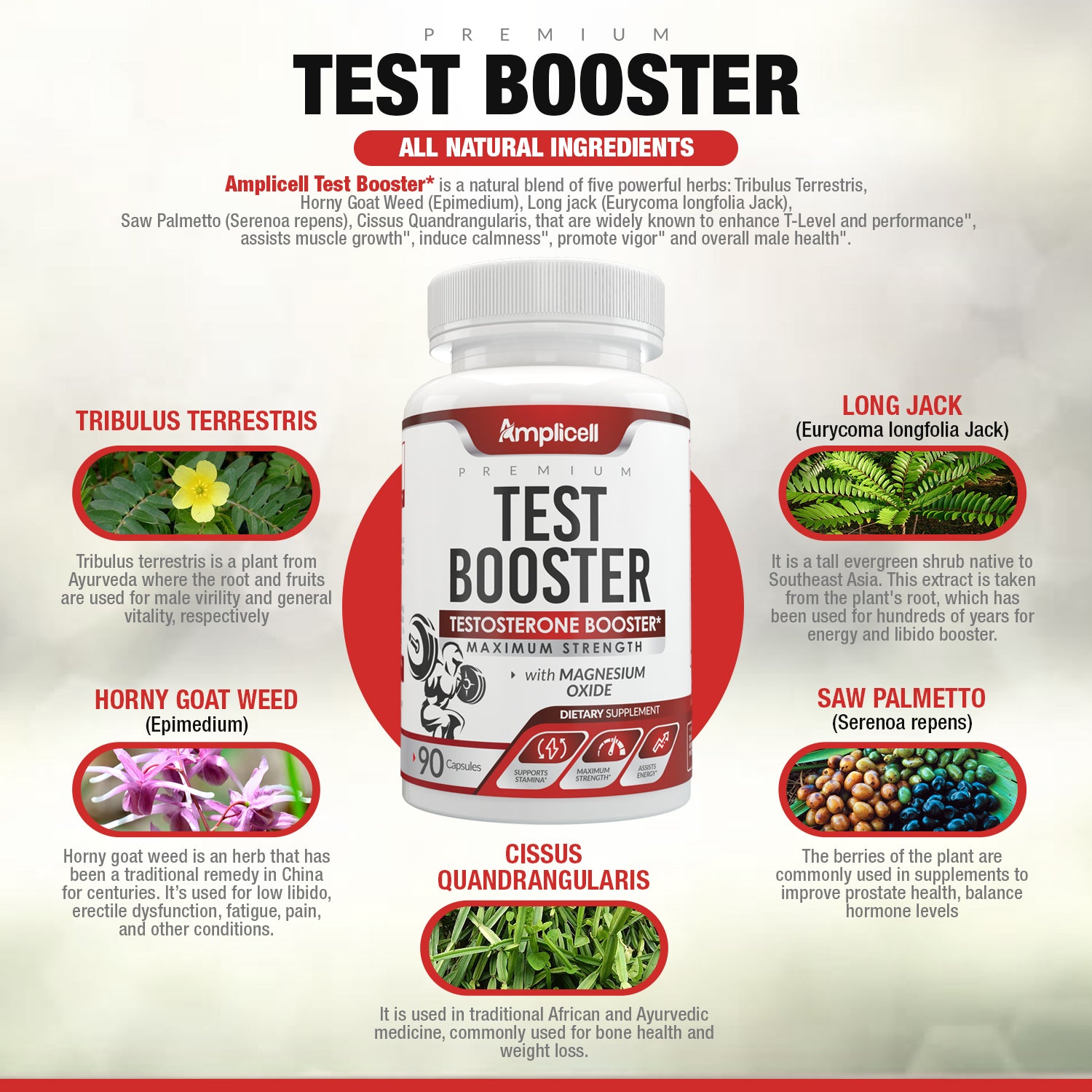 Amplicell Max Strength Test Booster Amplicell