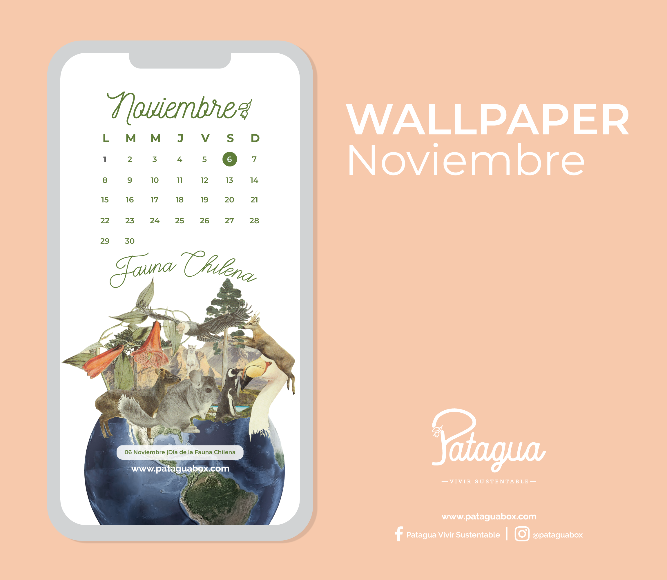 Wallpaper Noviembre 2021