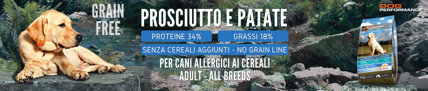 Crocchette Senza Cereali per Cani di Media e Grossa Taglia