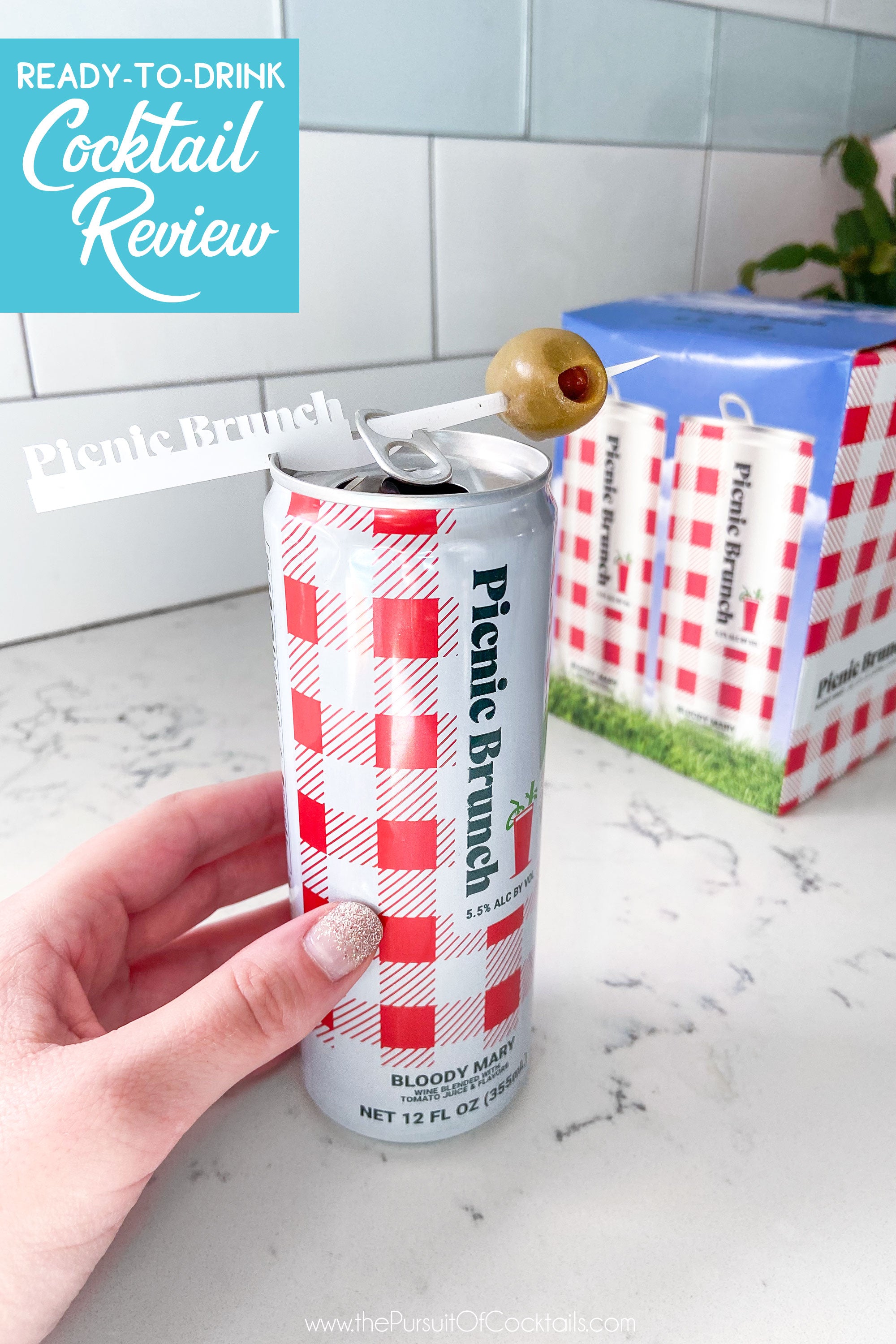 Picnic Brunch Bloody Mary canned cocktail review by The Pursuit of Cocktails