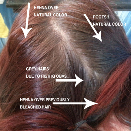 The Ultimate Henna For Hair Recipe Hair Dye Without The Chemicals