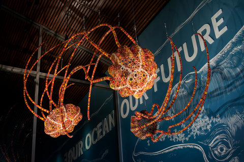 Salish Nettles, an public artwork by Kait Rhoads at the Pacific Seas Aquarium at the Point Defiance Zoo and Aquarium