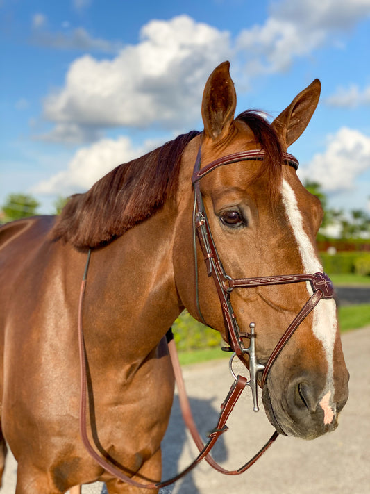 Beval Heritage Stirrup Leathers – Beval Saddlery