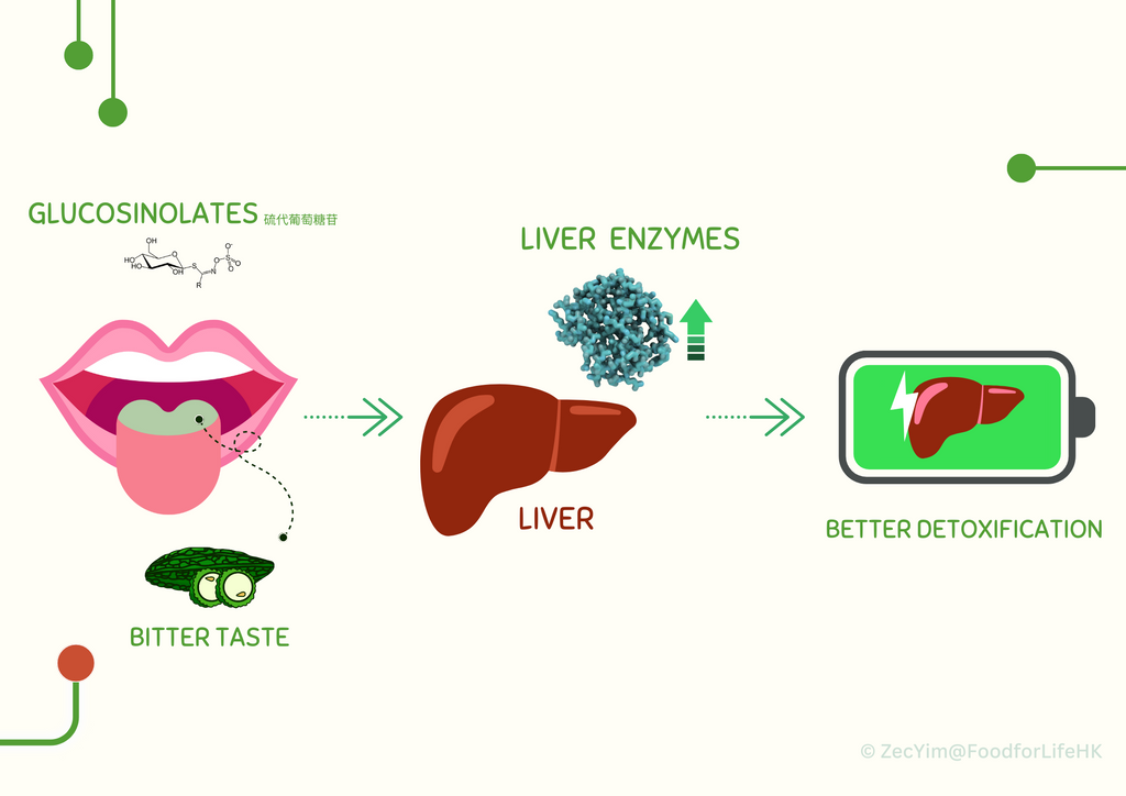 liver detoxification, bitter taste, gastrin, digestive enzyme