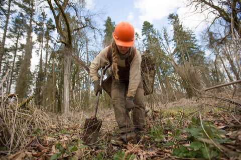 Reforestation project by One Tree Planted to reverse climate change by planting more trees to absorb carbon dioxide