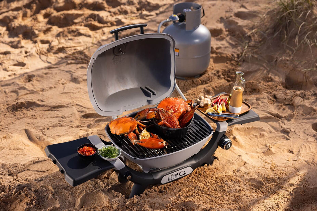 weber baby q holiday gift guide 2023