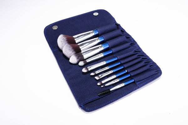 10pc IB Professional Brush Set With Blue Carry Case 1