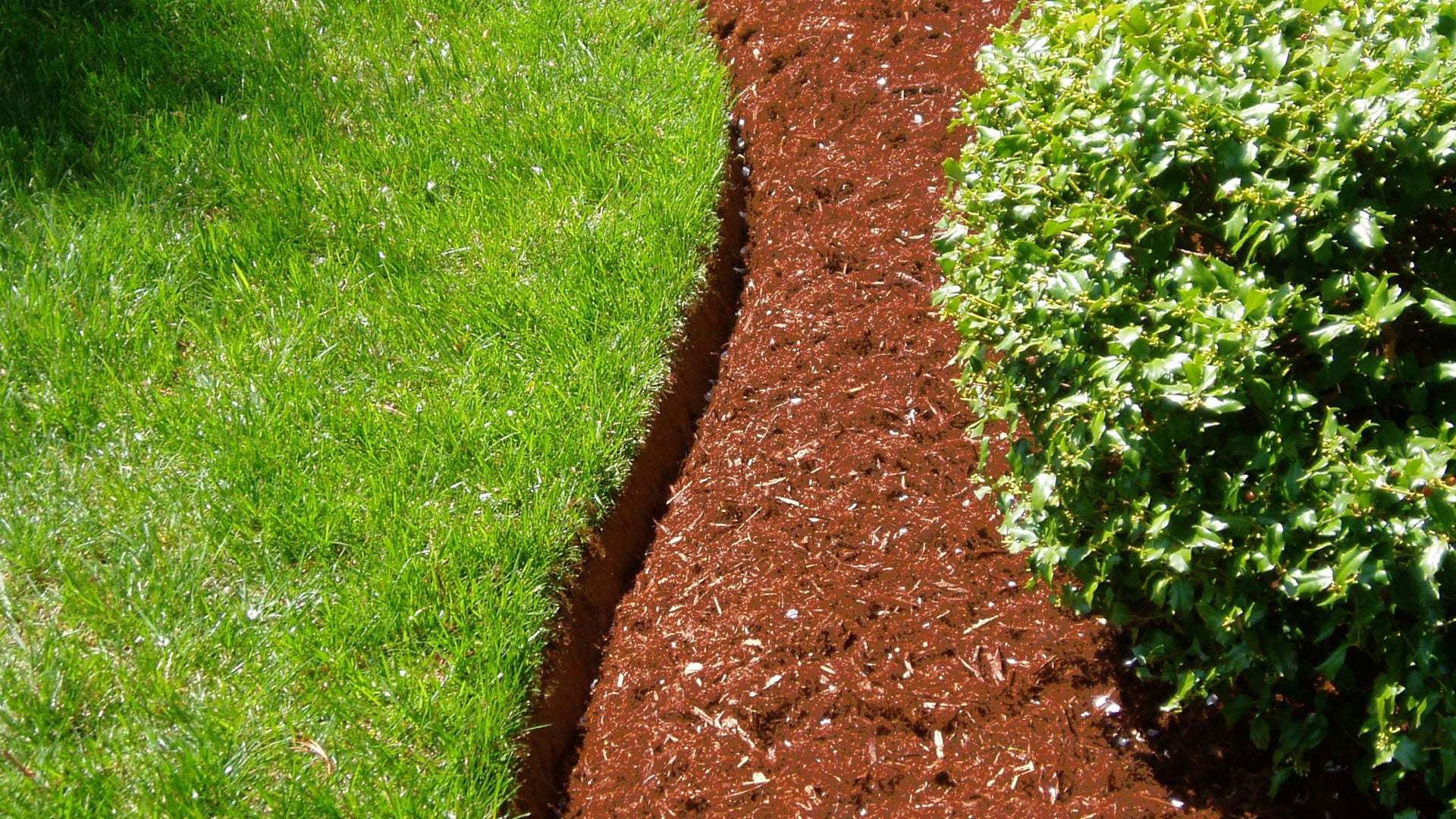 Solarfast™ Red Mulch Dye