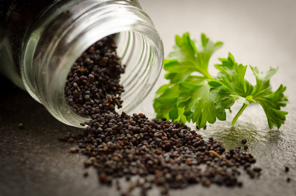 Black pepper used to make essential oil