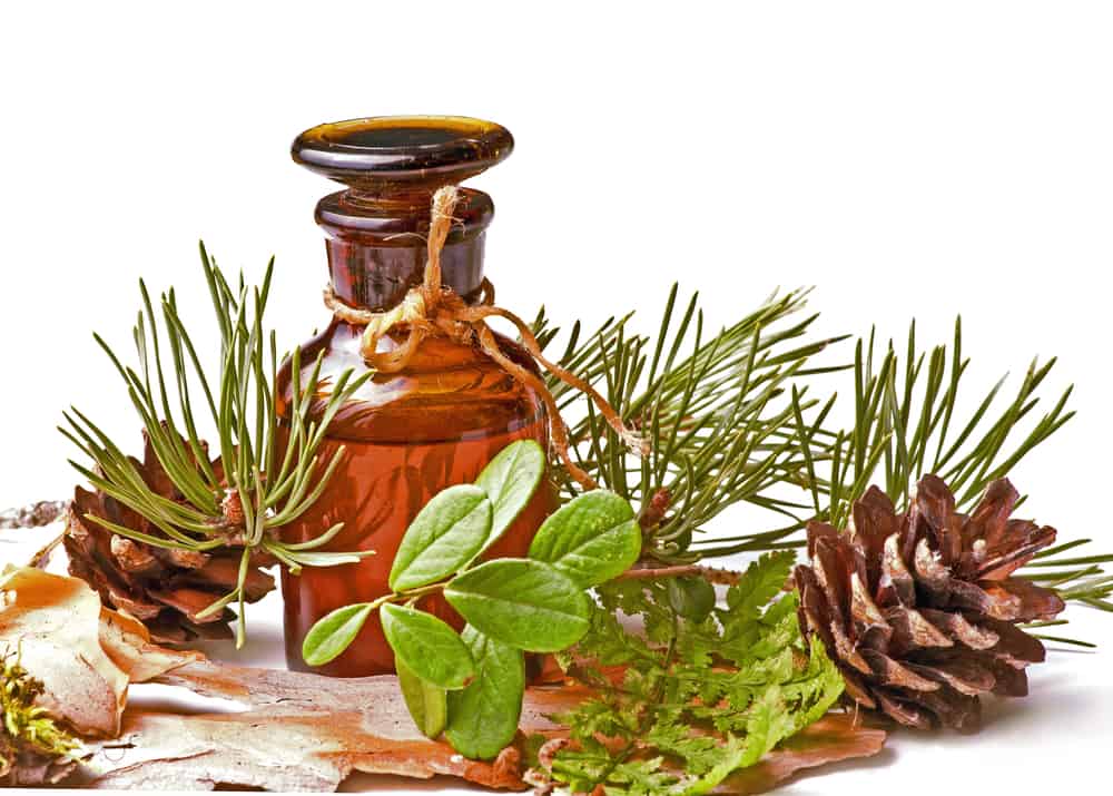 Earth Fragrance Oils by Pure - Set of 6 Premium Grade Scented Oils -  Frankincense, Teakwood, Pine, Cedar, Sandalwood, Forest 10 ml each