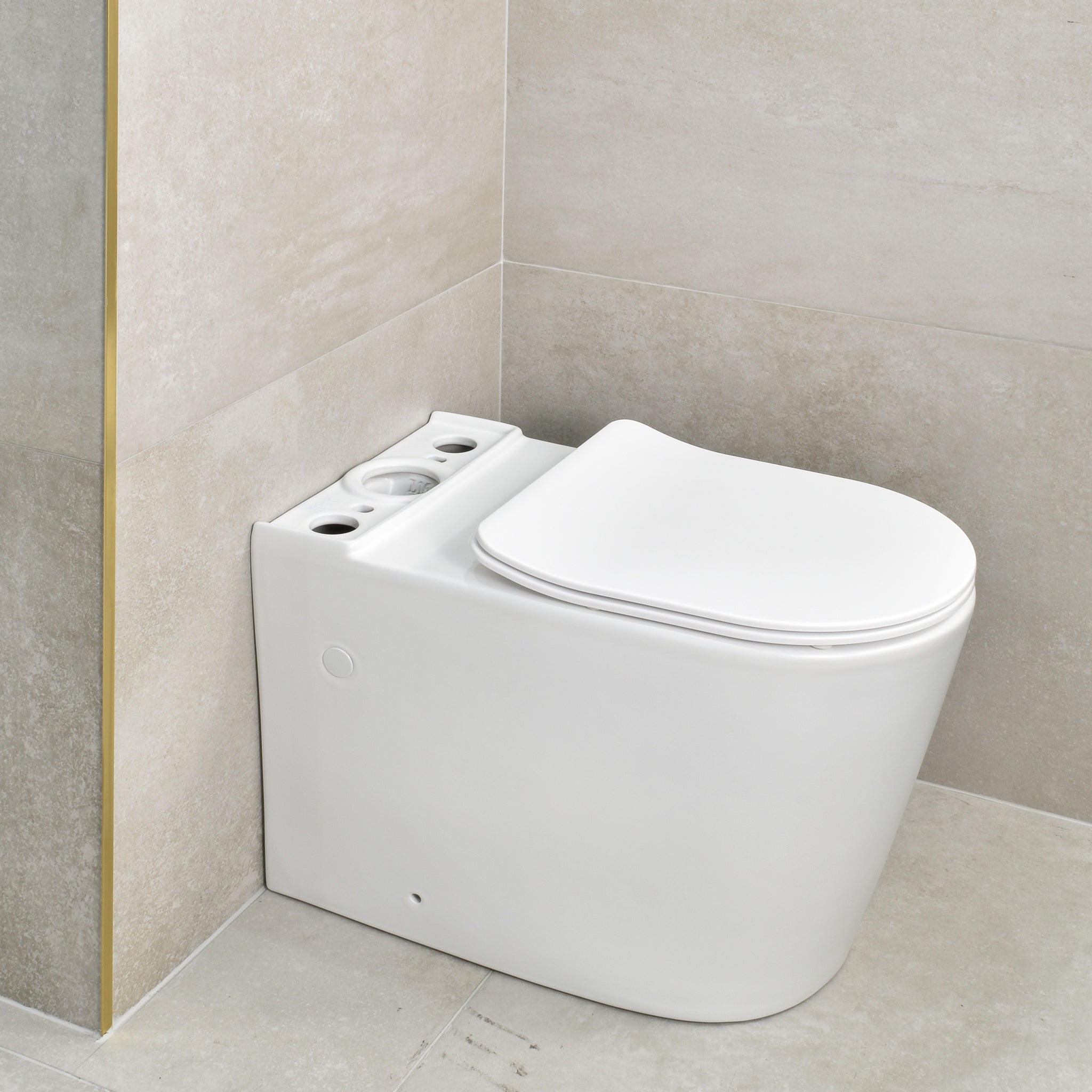 Tiffalo Rimless Back to Wall Toilet Suite | Matte White |